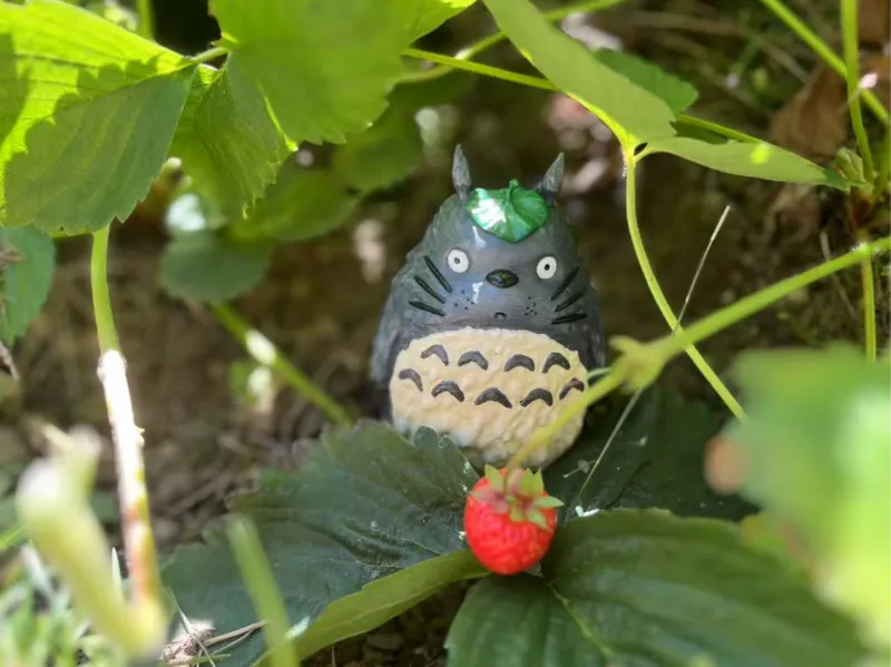 Totoro