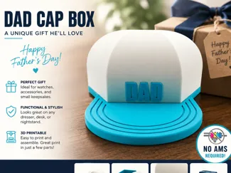 Flat Bill Cap Storage Box Collection NO AMS