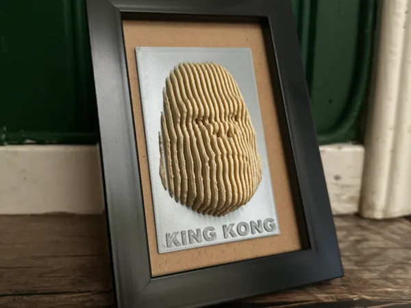 https://makerworld.bblmw.com/makerworld/model/US3261ea963cc8d0/design/2025-03-03_6437df3e42b2f8.jpg