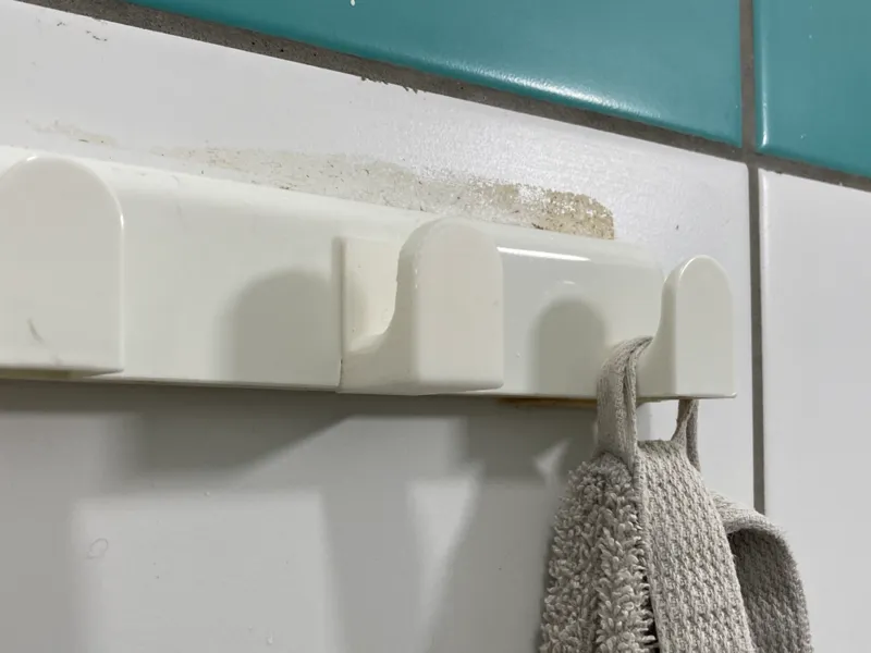 Hook replacement for hanger