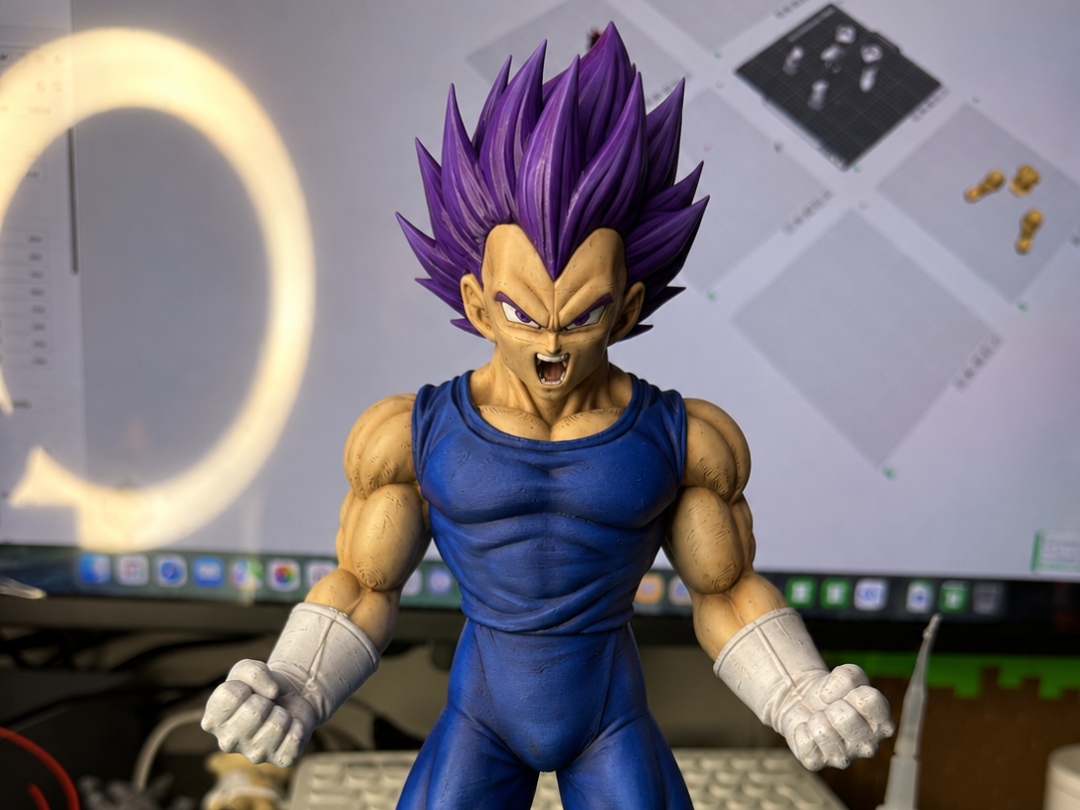 VEGETA ULTRA EGO - 1