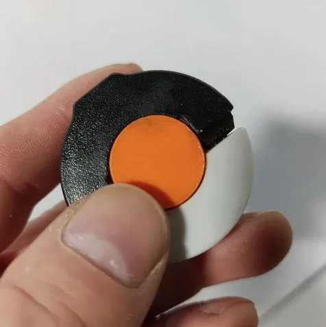 https://makerworld.bblmw.com/makerworld/model/US3286f4434712de/design/2024-03-05_ec1d2f217bc3c8.jpg