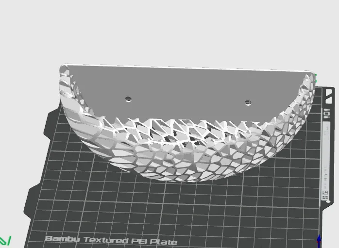 Wall Mount Decorative See Through Voronoi Pattern
