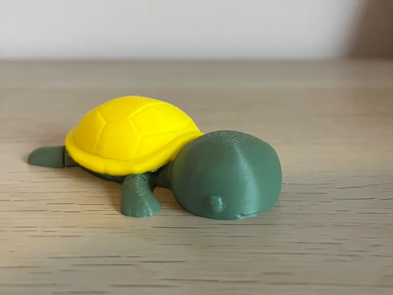 cute sleeping flexi turtle