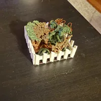 Small (40mm)