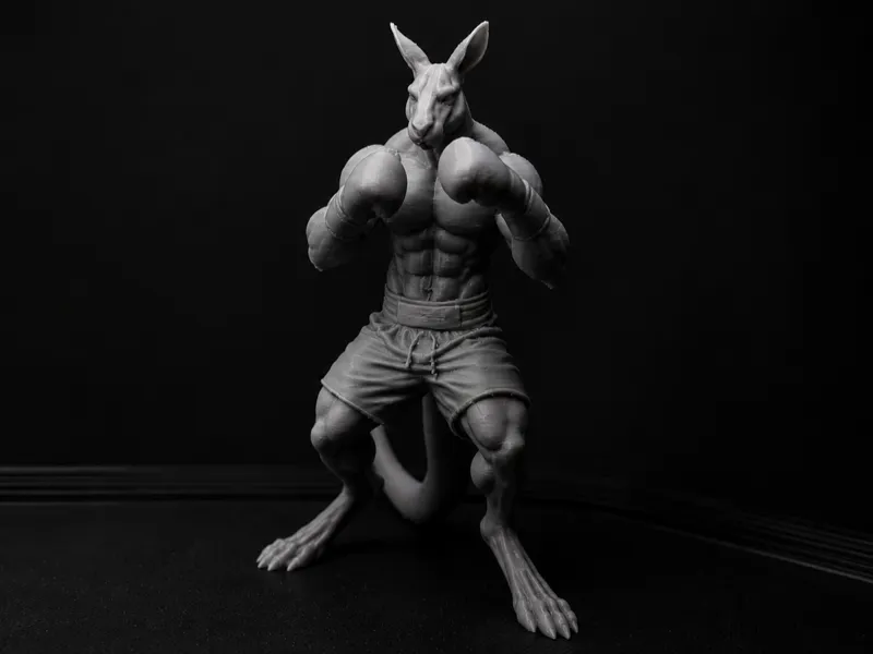 Boxing Kangaroo