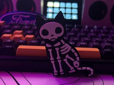 skeleton cat