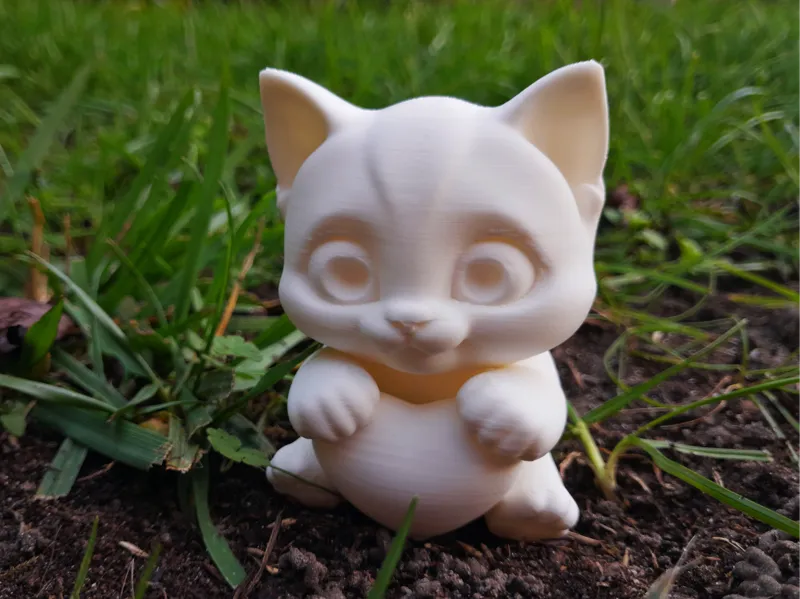 Kitten with heart