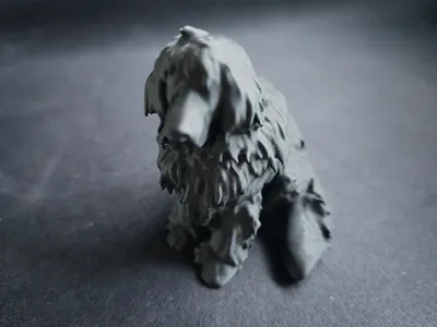 Newfoundland Miniature