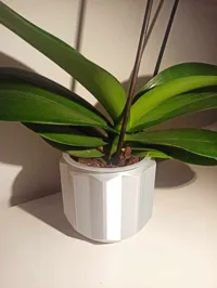 Pot pour orchidée — photo 1