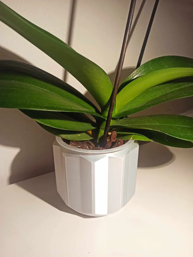 Orchid Plant Pot