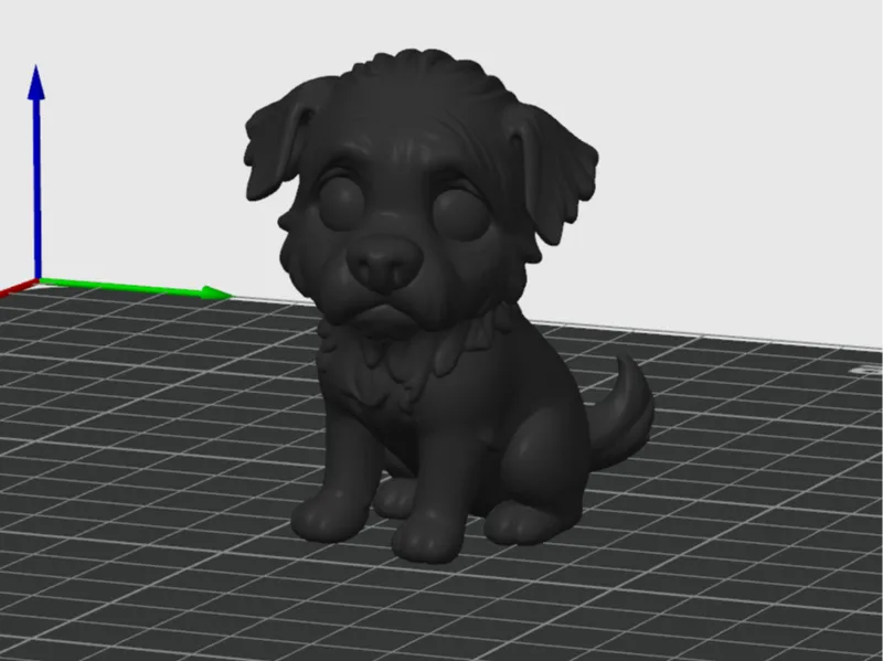 Poodle dog 