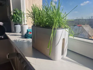 Hydroponic Cat Grass Pot