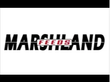 Marshlandfeed Scoop