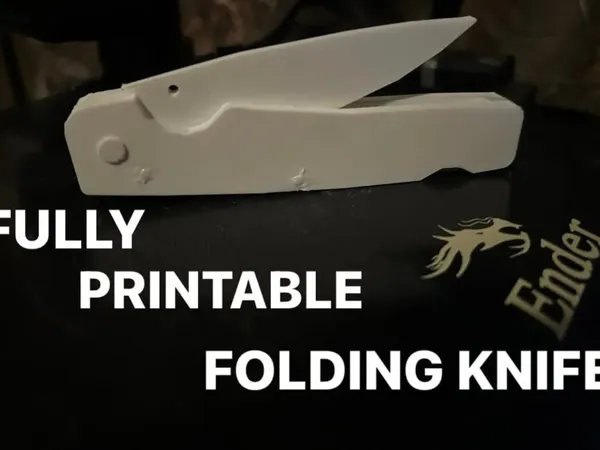 https://makerworld.bblmw.com/makerworld/model/US32ada26c8a70f1/design/2024-06-10_b445d293cfbba.webp