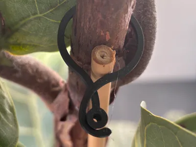 Plant clamp with rope fixing