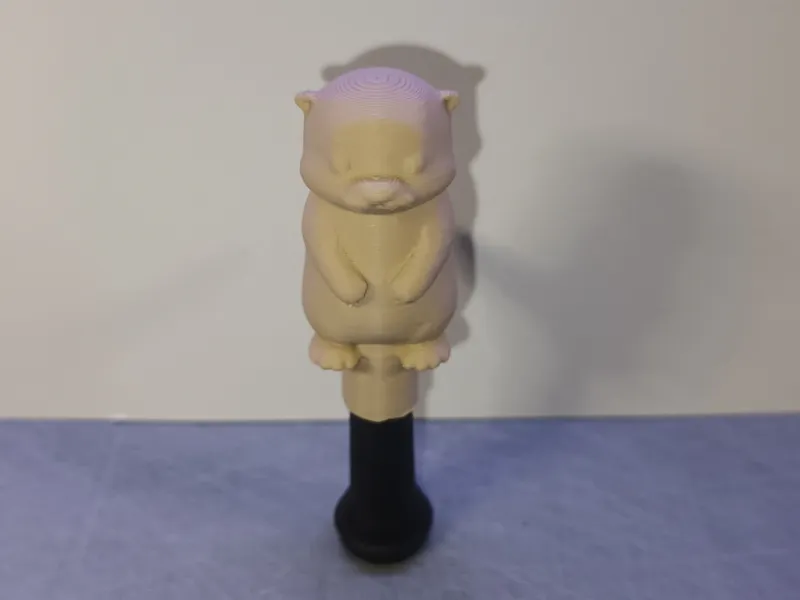 Otter valve cap
