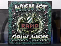 Rapid Wien 100x100 - 0.08mm layer, 1 walls, 100% infill