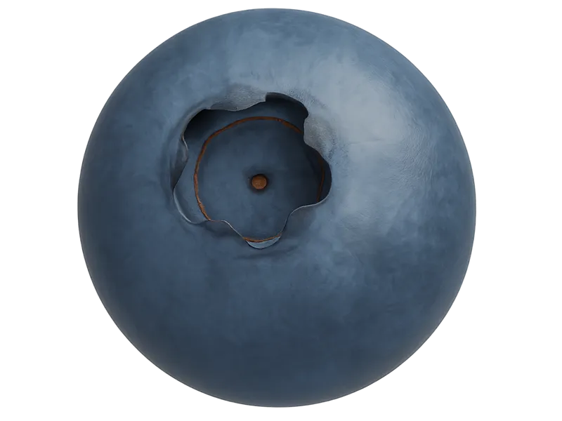 Borówka, Bilberry