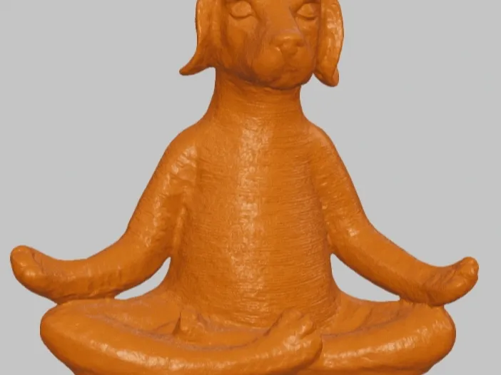 Meditation dog 2