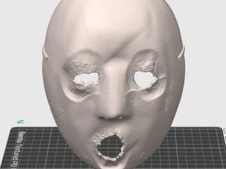 Mask "The Wall"
