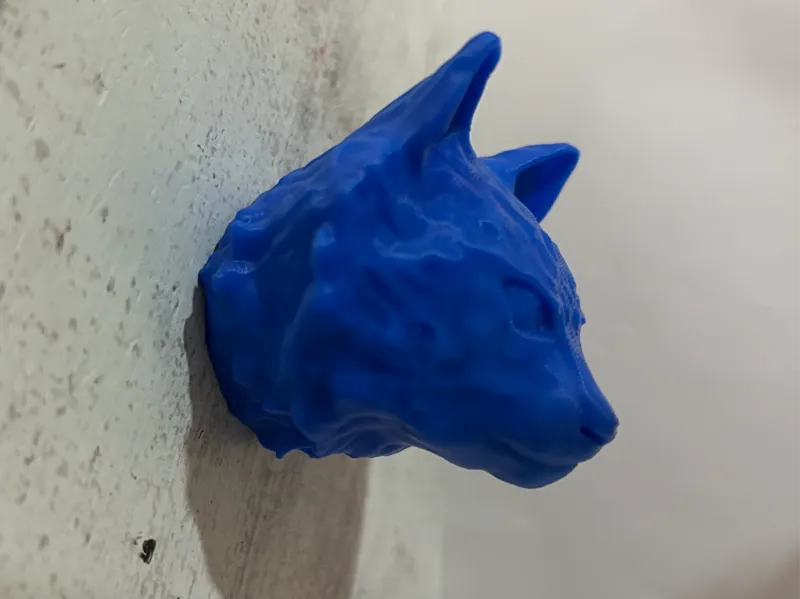 Cat Head
