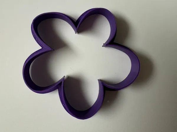 https://makerworld.bblmw.com/makerworld/model/US32c3ddbf76f8a2/design/2026-01-15_820cd8cff1fa58.jpg