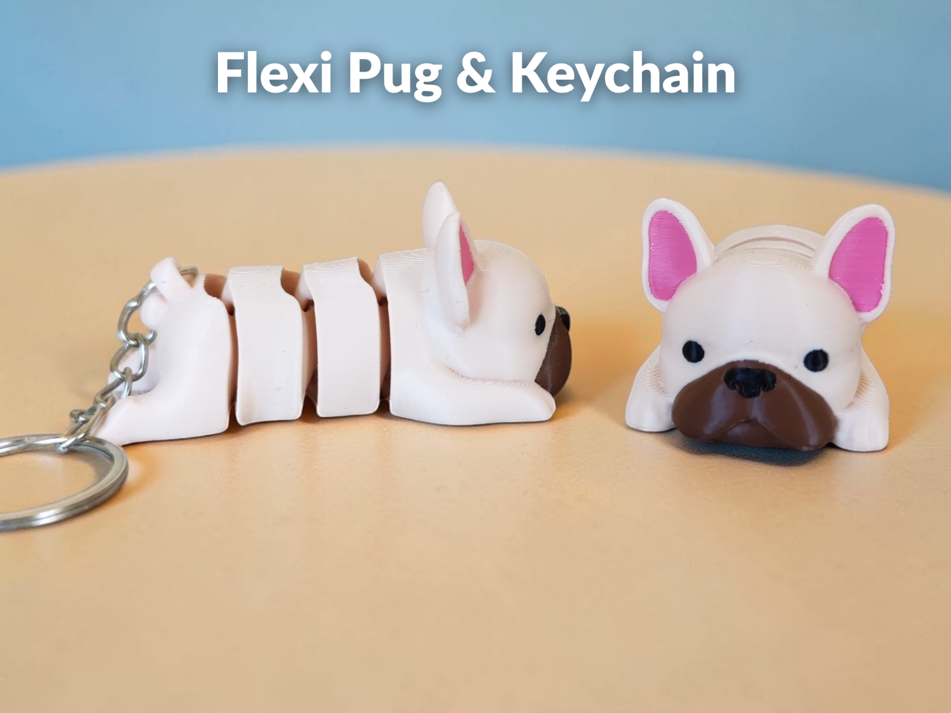 Flexi Cute Pug & Keychain