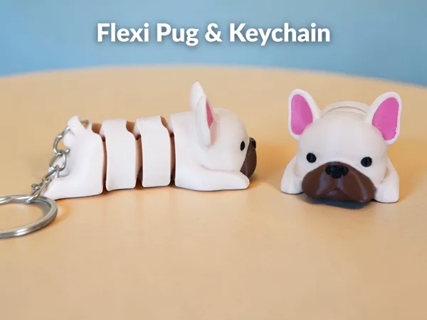 https://makerworld.bblmw.com/makerworld/model/US32c44ca4049c7c/design/cbbfbbec0ebc9859.png