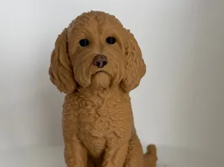 Boopables - Goofy Doodles - Oliver