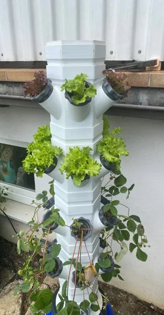 Hydro Tower - Growing Tower