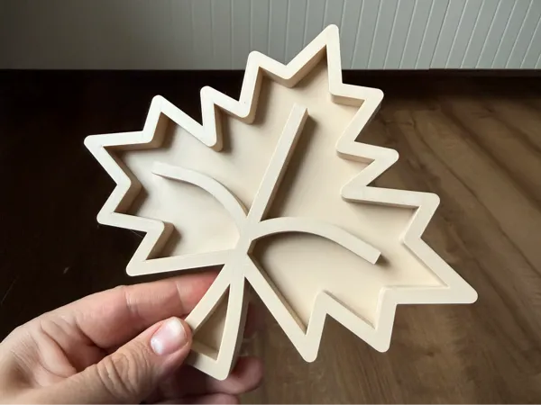 https://makerworld.bblmw.com/makerworld/model/US32dcf11af0ebfe/design/2025-09-26_523c6fa79875f8.png