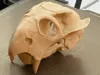 0.2mm layer, 2 walls, 10% infill