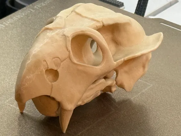 https://makerworld.bblmw.com/makerworld/model/US32e01aac8679c2/design/ad72842ad876768d.jpg