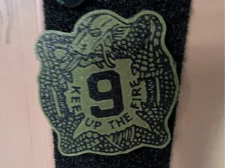 9th infantry regiment patch