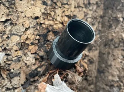 Film Canister Holder for Dart Frogs
