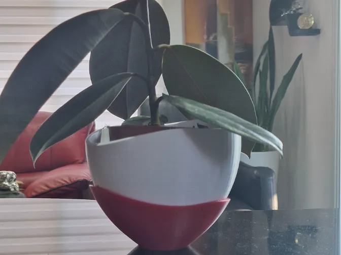 Wavy Plant Pot  with external Tray