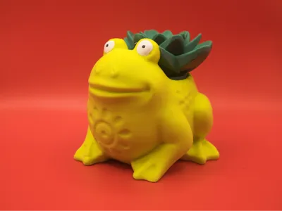 Happy Frog Planter with Removable Succulent