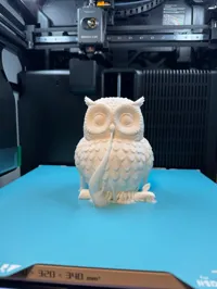 Lampe hibou LED — photo 8