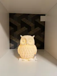 Lampe hibou LED — photo 3