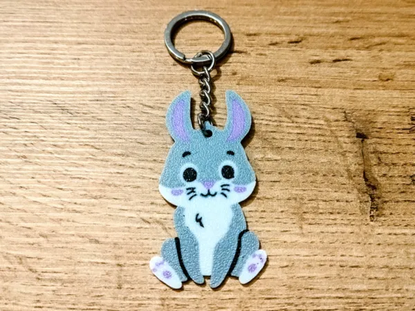 https://makerworld.bblmw.com/makerworld/model/US3303901705af2b/design/2025-02-25_eaa6ab77ccdb.jpg