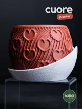 Саксия cuore