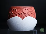 Саксия cuore
