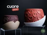 Саксия cuore