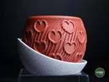 Саксия cuore