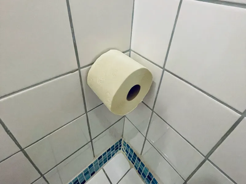 Toilet paper buddy