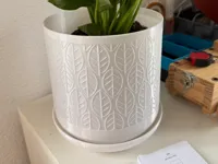 0.2mm layer, 3 walls, 10% infill
