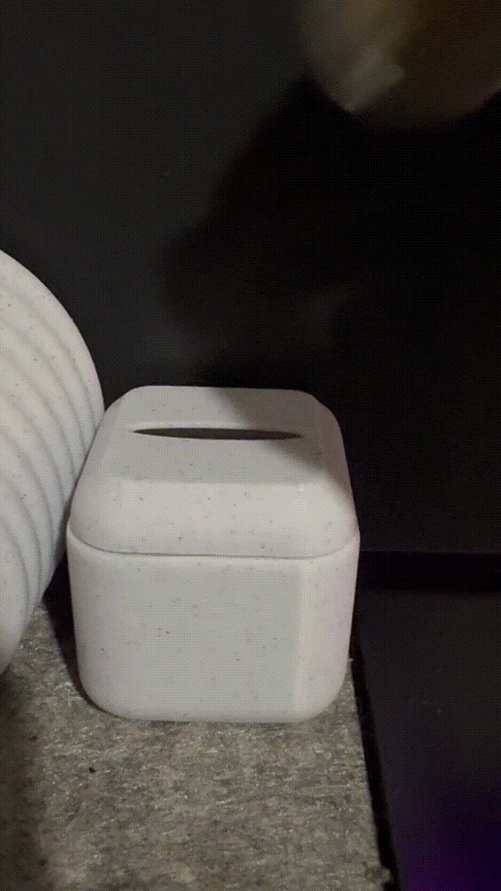 Simple Modern Piggy Bank 