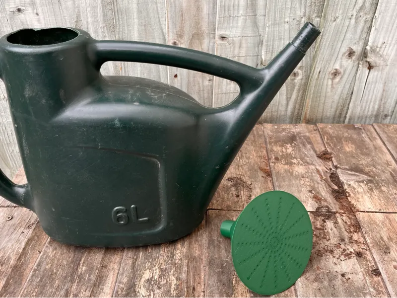 Shower head for watering can, 21.5mm diameter