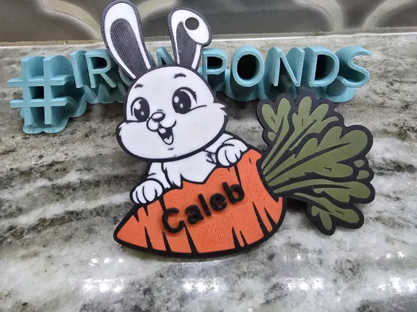 https://makerworld.bblmw.com/makerworld/model/US3312f8cf911be0/design/2025-03-18_787a32514555f.jpg